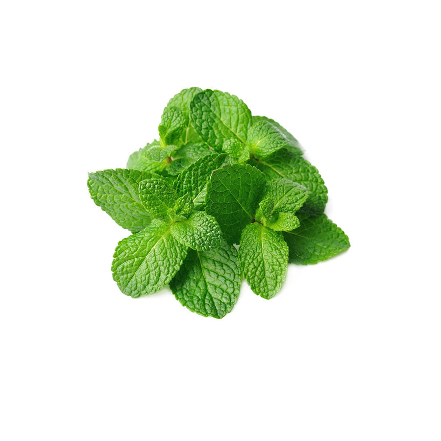 Buy Certified Organic Fresh Mint/Pudina in Delhi/NCR, Gurgaon, & Noida –  THE ALTITUDE STORE