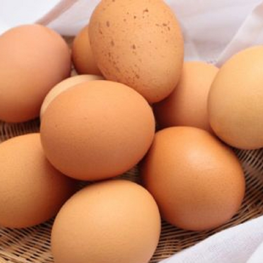 Chicken Eggs - Free Range