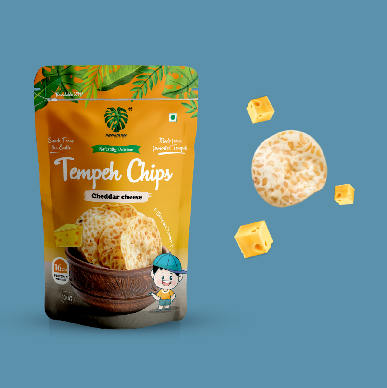 CHEDDAR CHEESE TEMPEH CHIPS| Natural  &  Organic 