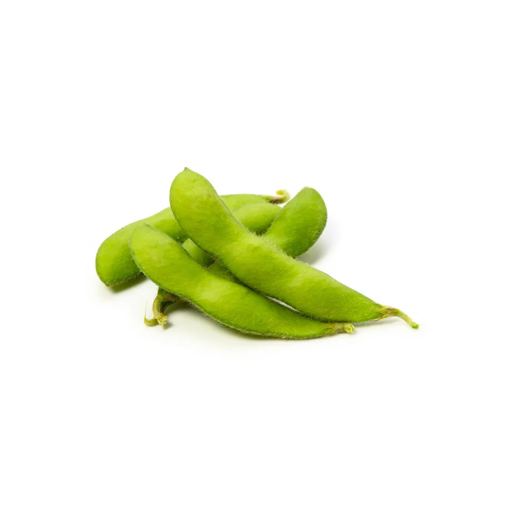 Organic Products | EDAMAME BEANS (BAAKRA BEANS / BROAD BEANS / BAKLA PHALI) | The Altitude Store