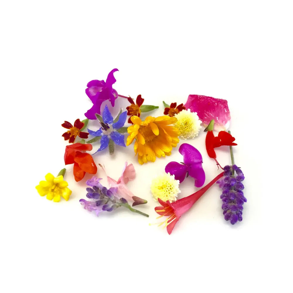 EDIBLE FLOWERS - MIXED