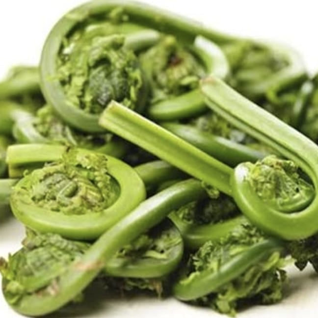 Nimora / Lingri / Fiddlehead Fern  | Natural & Organic