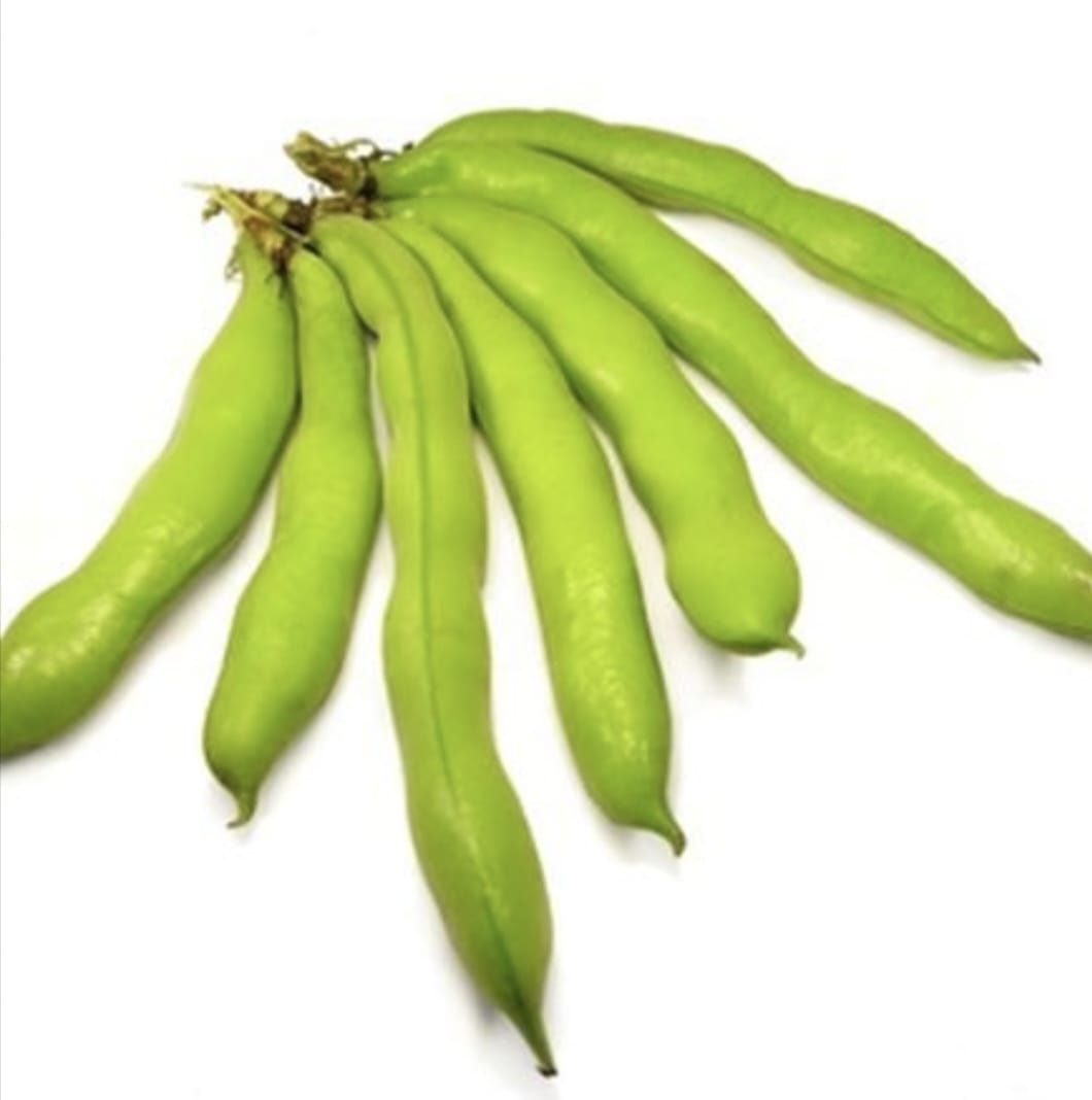 BAKLA PHALI/ INDIAN BROAD BEANS Natural  &  Organic