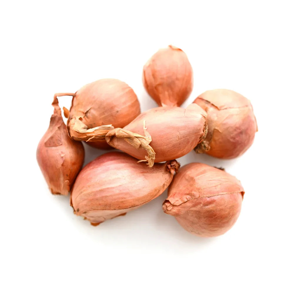 Organic Products | ONION WHITE / SHALLOTS | The Altitude Store