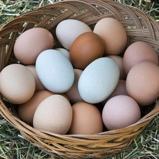 Eggs - From Free Range Pasture Raised Desi Chicken