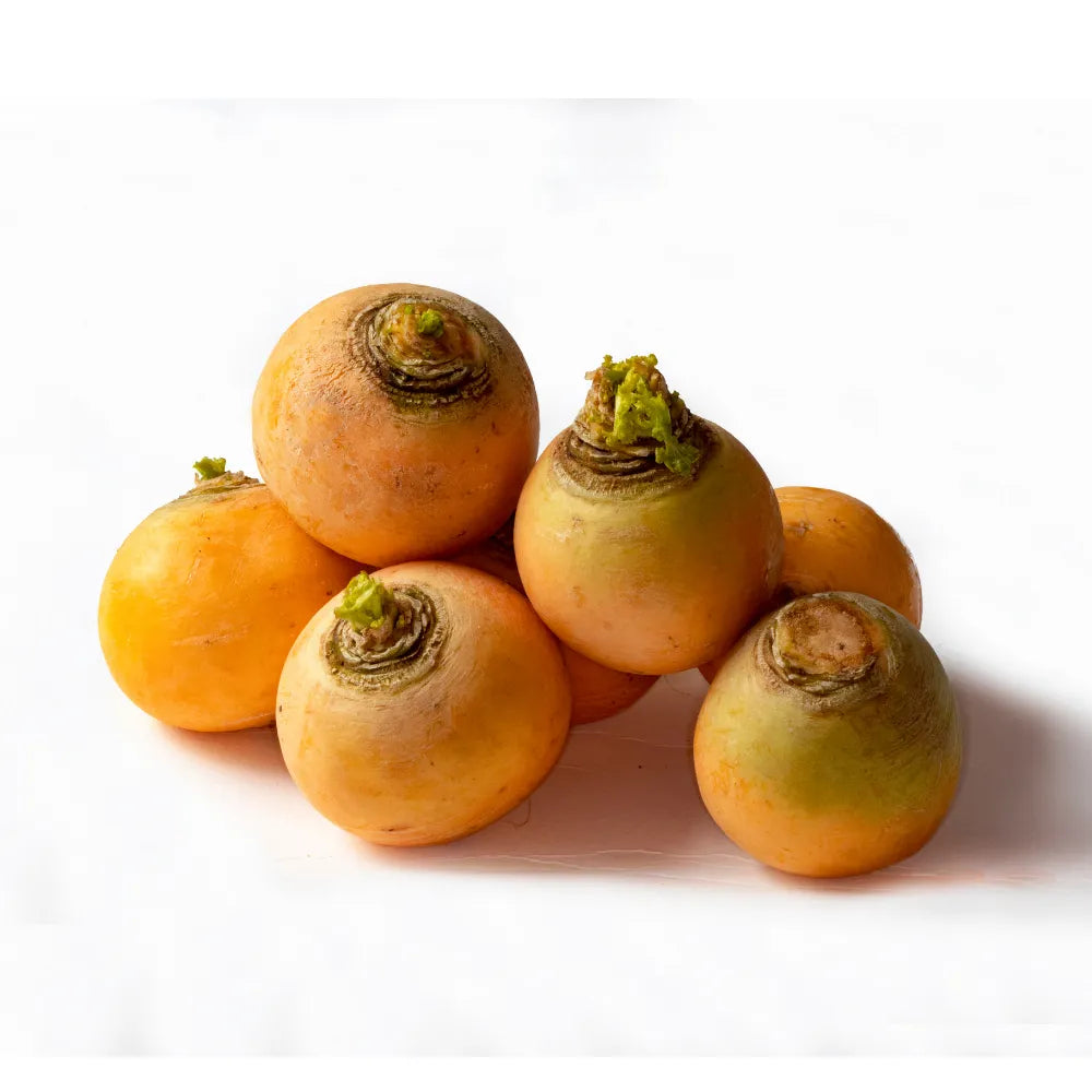 TURNIP GOLDEN / YELLOW SHALGAM | Natural  &  Organic 