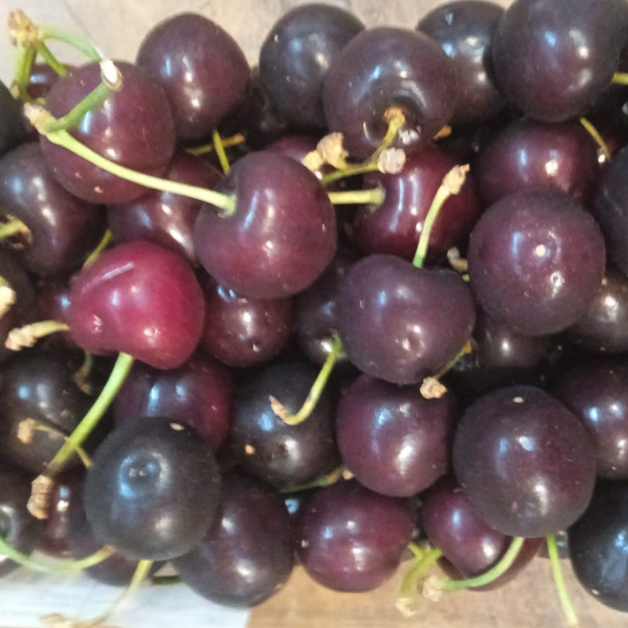 Organic Products | FRESH CHERRIES | The Altitude Store