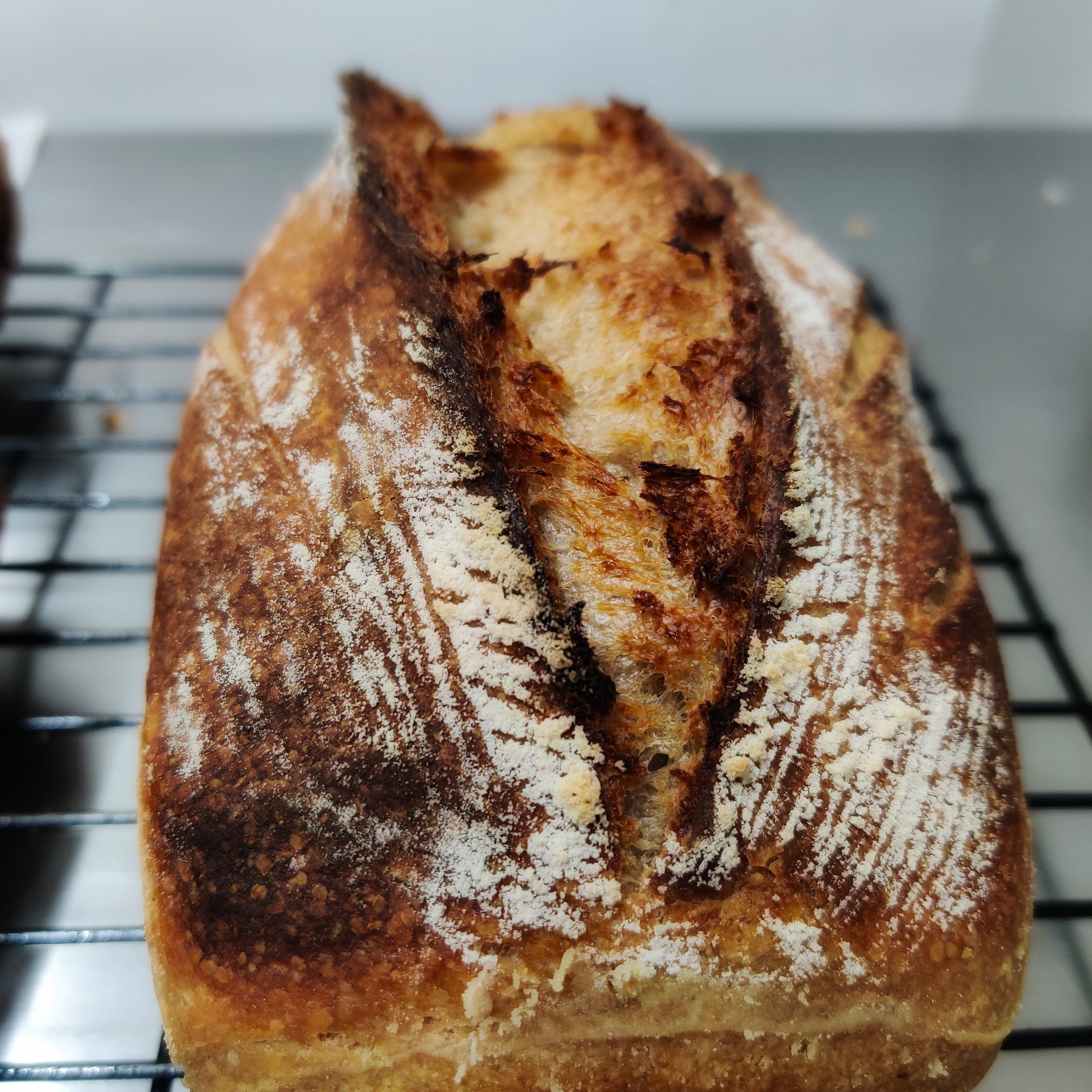 SOURDOUGH BREAD | Natural  &  Organic
