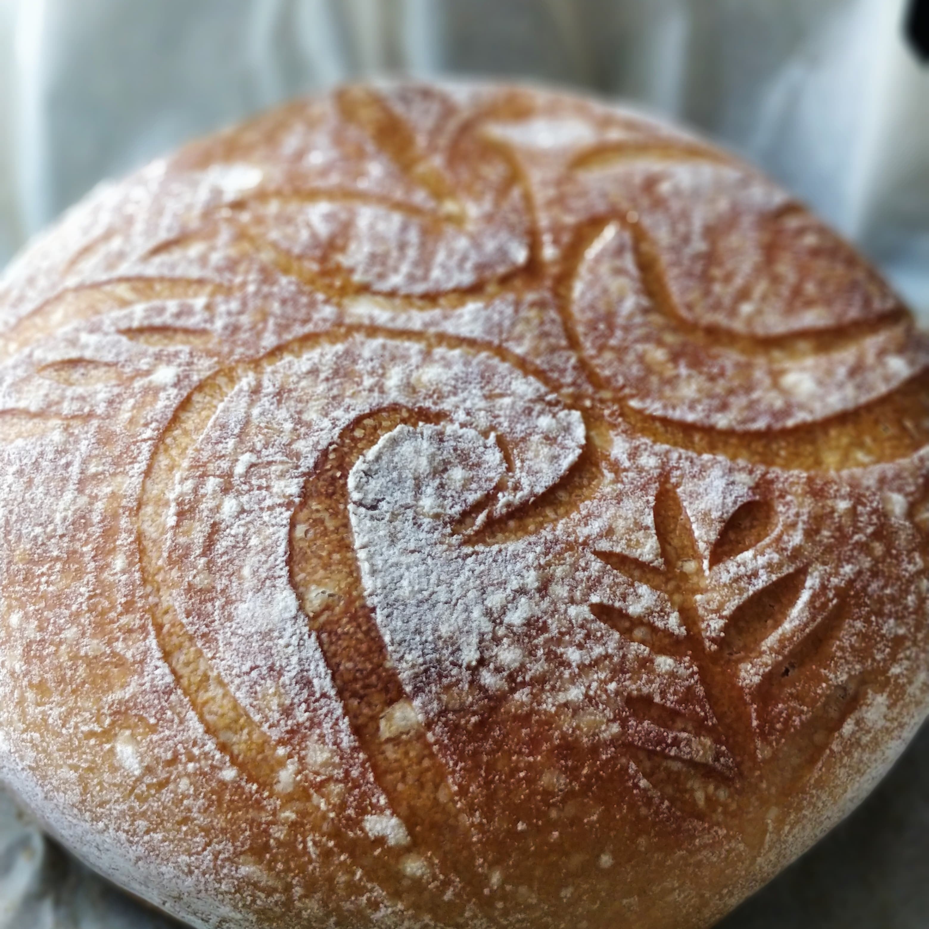 SOURDOUGH BREAD (ROUND) | Natural  &  Organic