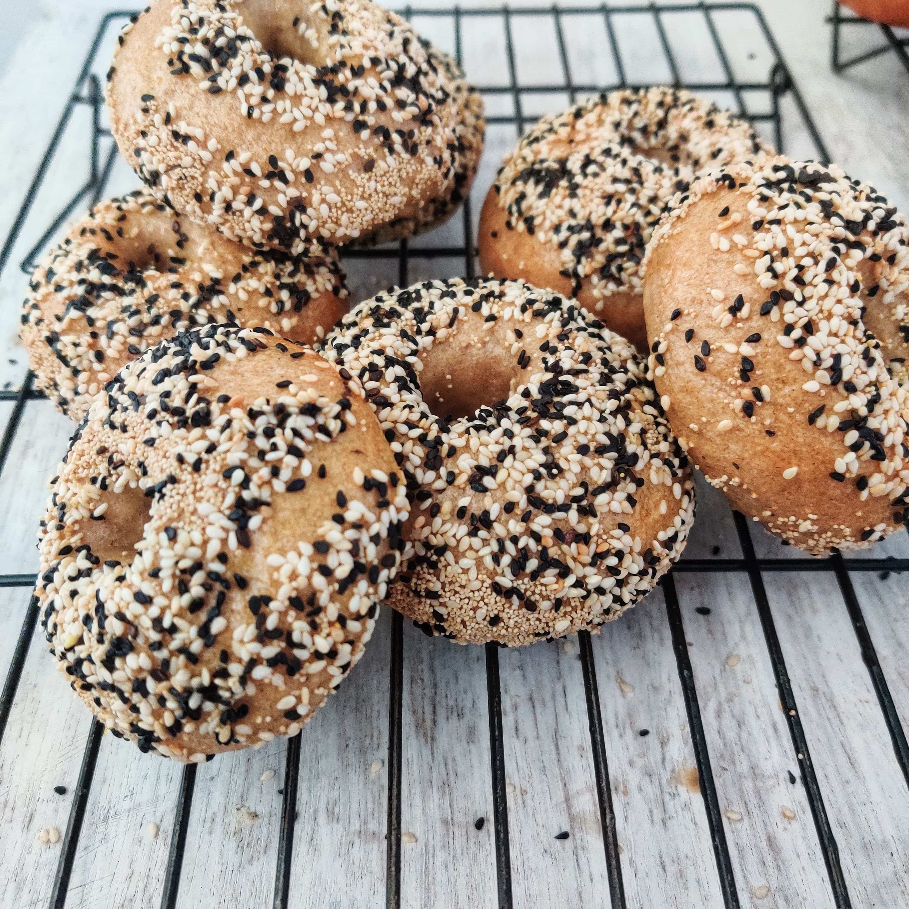 New York all things Bagels (Set of 4)