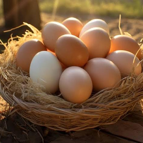 Chicken Eggs - Free Range | Natural  &  Organic