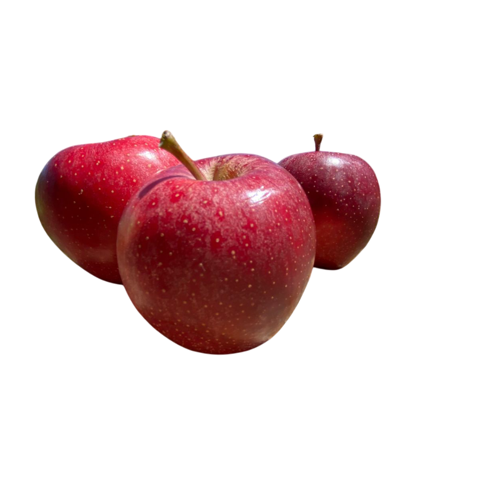 APPLE - RED GALA | Natural  &  Organic