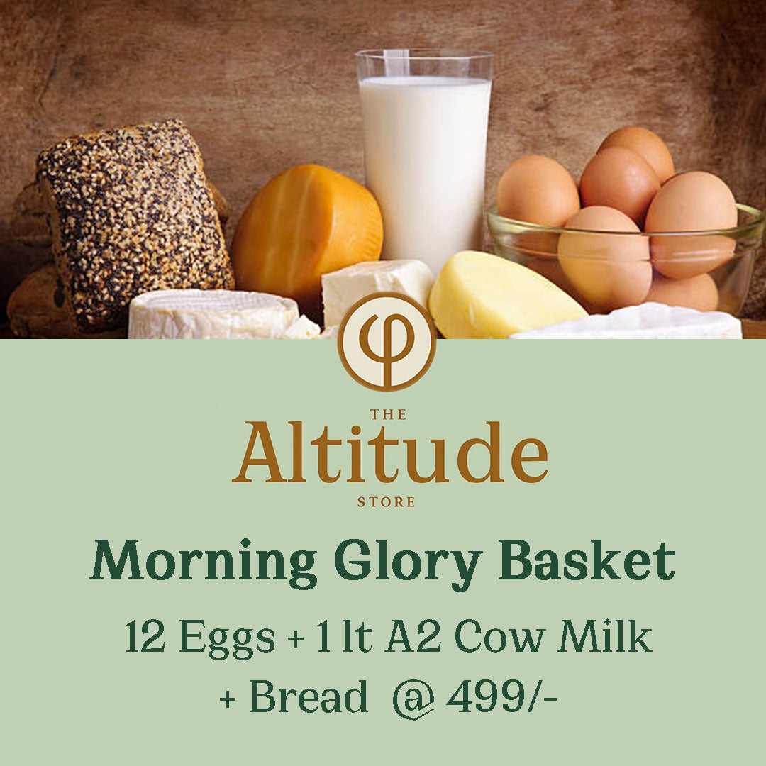 Morning Glory Basket