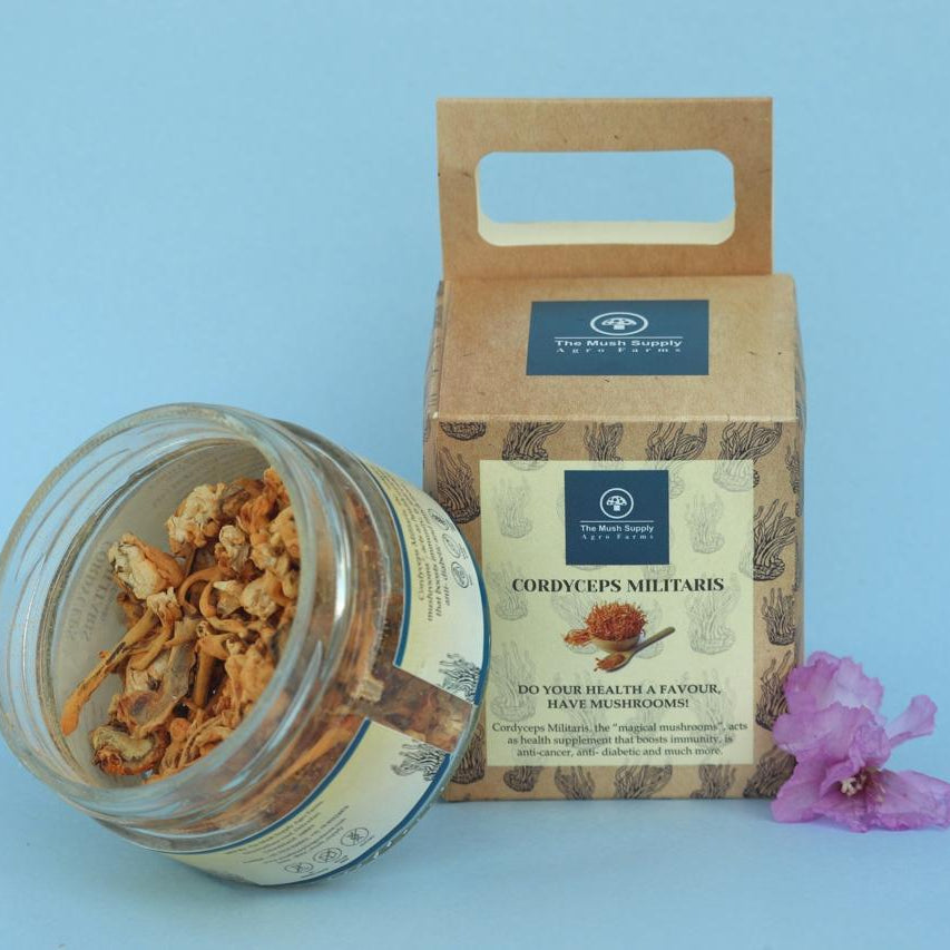 Cordyceps mushrooms/Militaris