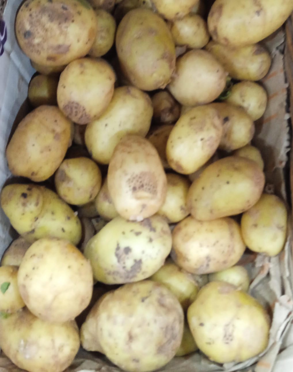 BABY NEW POTATO | Natural  &  Organic