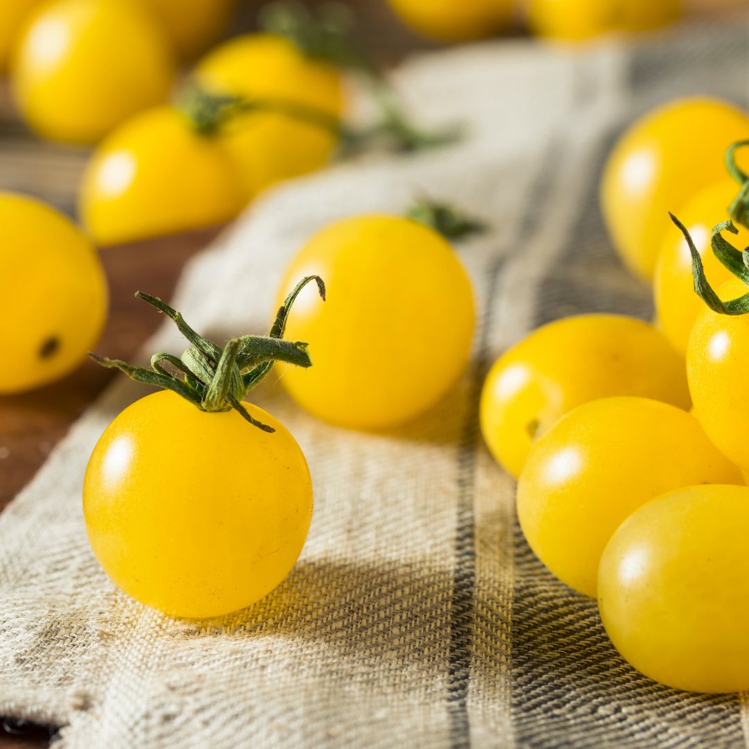 Buttercream tomatoes | Natural  &  Organic