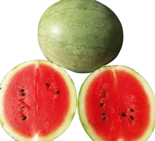 WATERMELON - JANNAT (LIGHT GREEN)