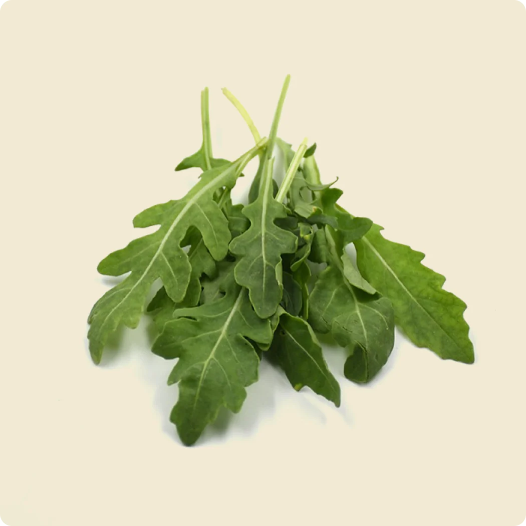 ARUGULA/ROCKET WILD ITALIAN| Natural  &  Organic