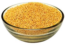 MUSTARD YELLOW 100GM (ALTITUDE EVERYDAYS)