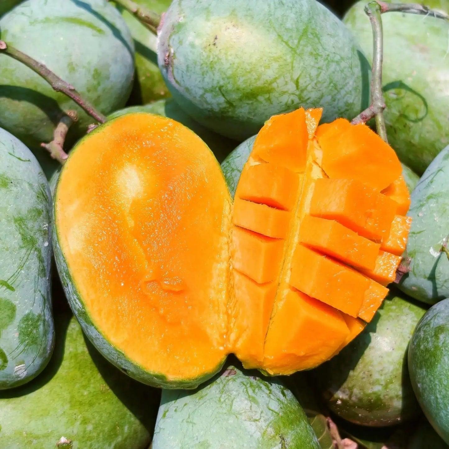 AMARPALI MANGO| Natural  &  Organic