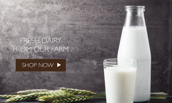 Organic Dairy 