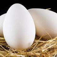 GOOSE EGGS - PER PIECE