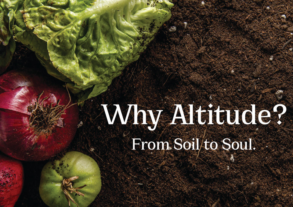 Most Trusted Organic Grocery Store in Delhi NCR – THE ALTITUDE STORE