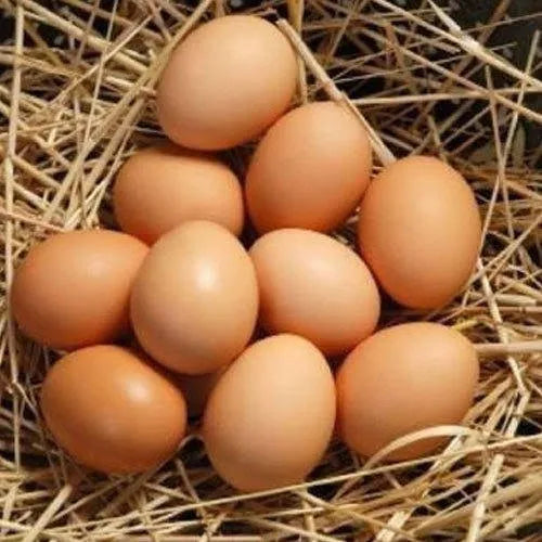 Eggs - From Naturally Grazed Desi Brown
