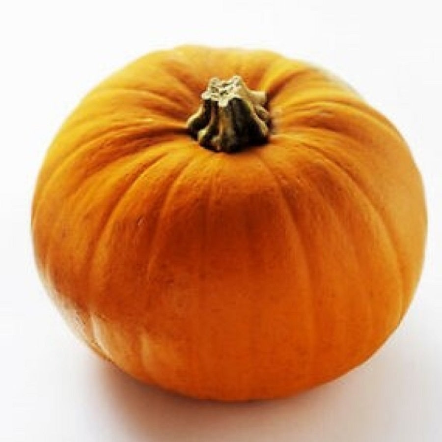 HALLOWEEN PUMPKIN YELLOW - 1 PIECE (APROX 8 KGS)