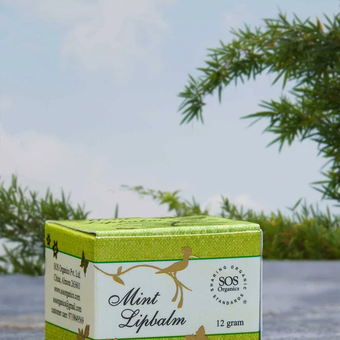 NATURAL MINT LIPBALM 12GM