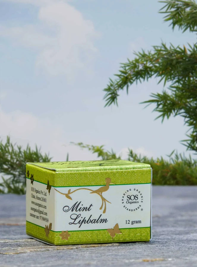 NATURAL MINT LIPBALM 12GM