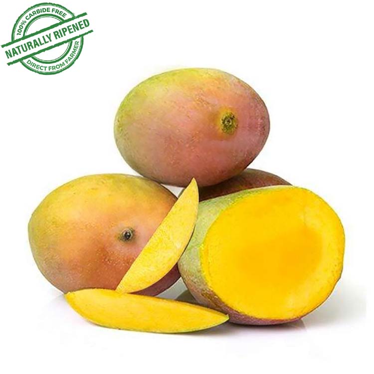 MANGO - SINDURA Natural & Organic