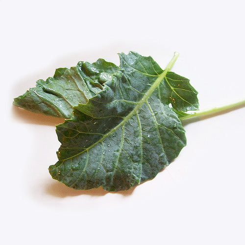 Organic Products | SAAG - HAAK / KASHMIRI SAAG | The Altitude Store