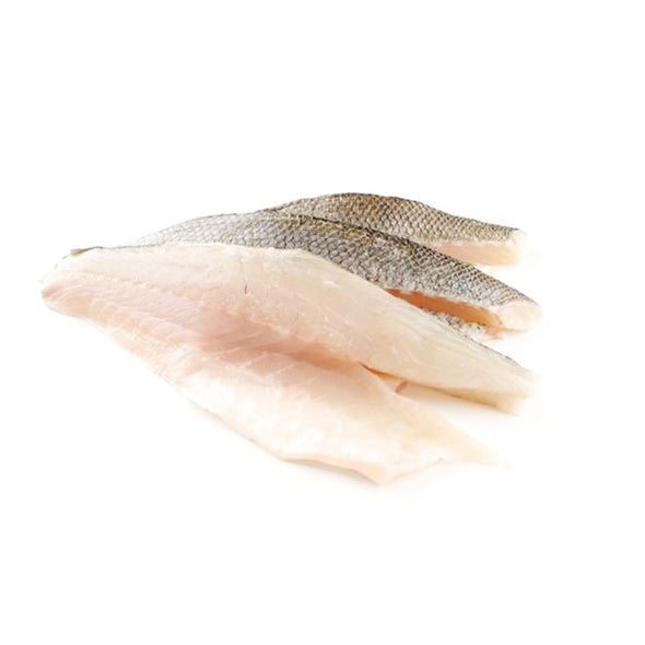 FISH - FILLET - WHITE SNAPPER