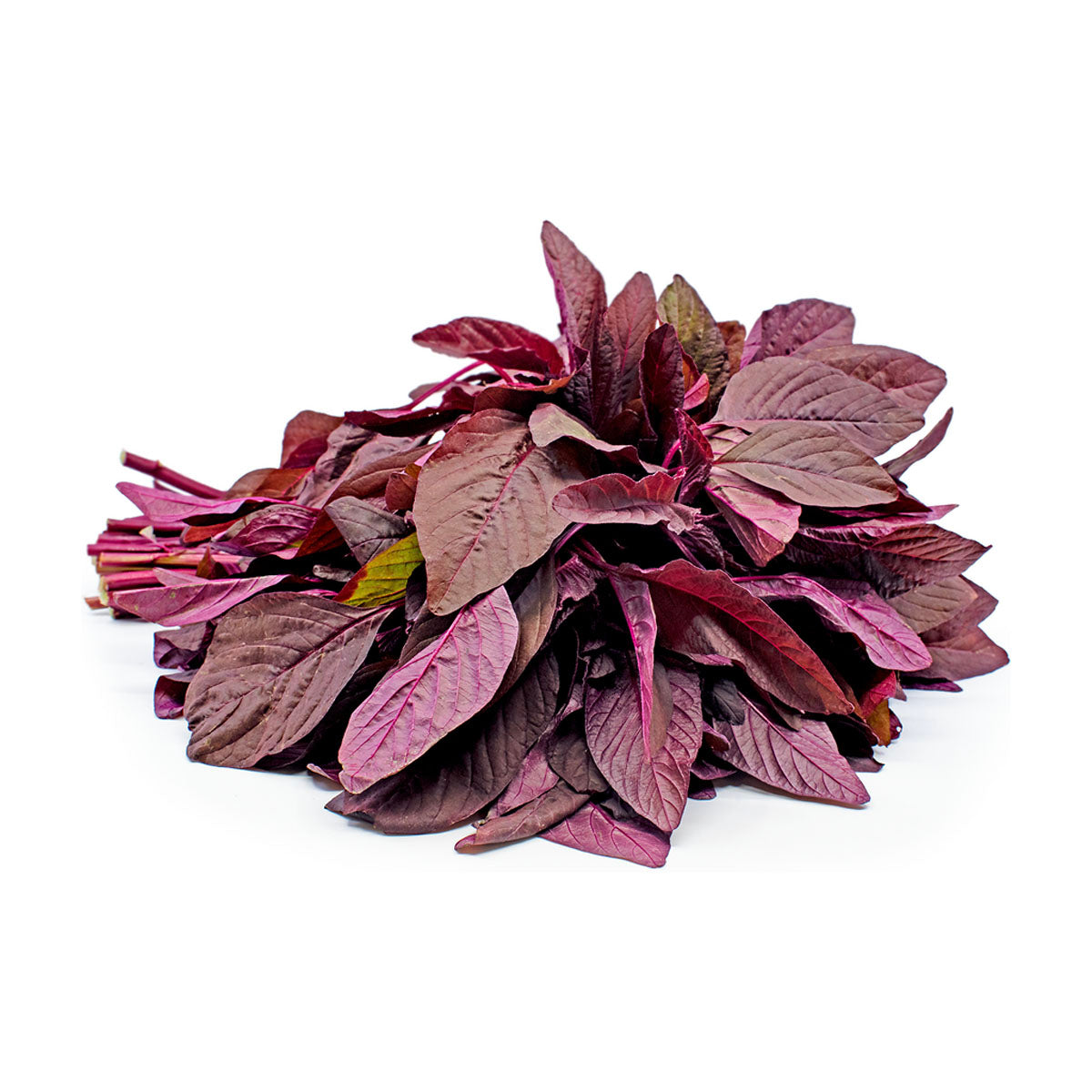 SAAG - CHAULAI RED