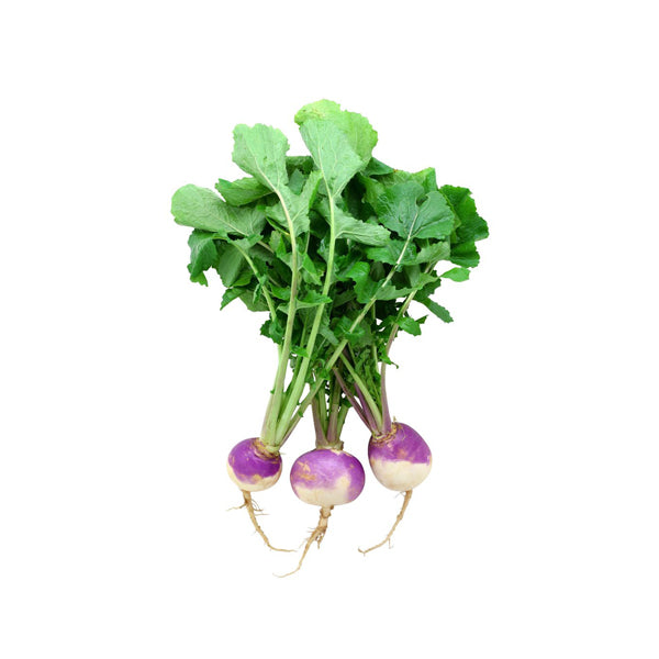 BABY TURNIP WITH LEAVES - RED