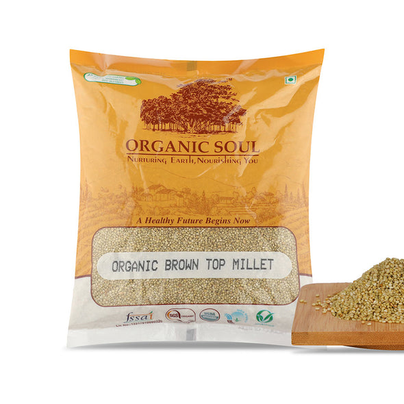 BROWN TOP MILLET