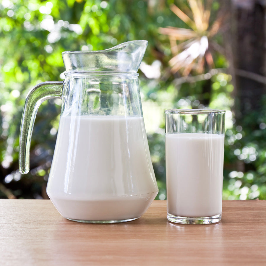 BUTTERMILK PLAIN | Natural  &  Organic 