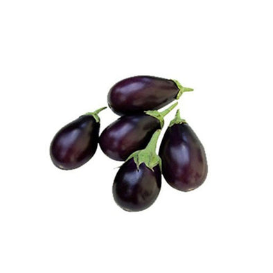 EGGPLANT / BAIGAN - SMALL / CHUCHU