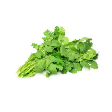 FRESH CILANTRO/ HARA DHANIYA