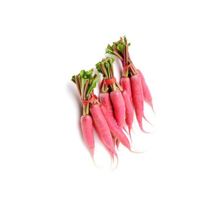 RADISH RED LONG / MOOLI | Natural  &  Organic 