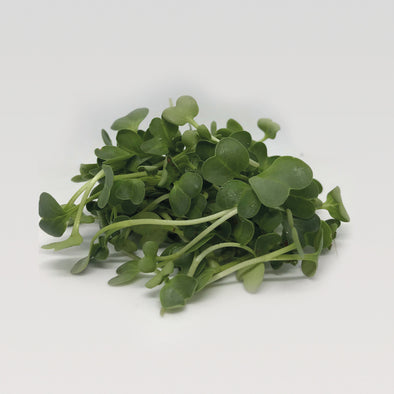 MICROGREENS - RADISH