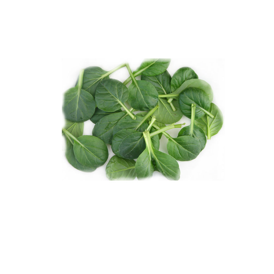 TATSOI | Natural  &  Organic 