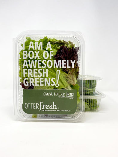 SALAD MIX HYDROPONIC CLASSIC BLEND