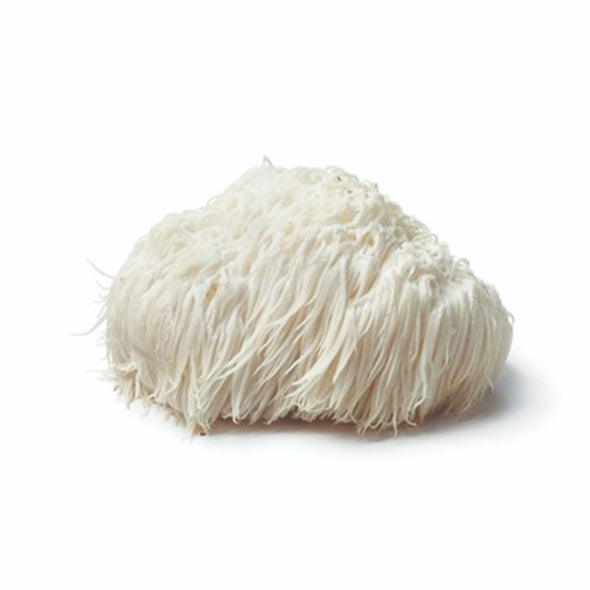 FRESH MUSHROOM - LION