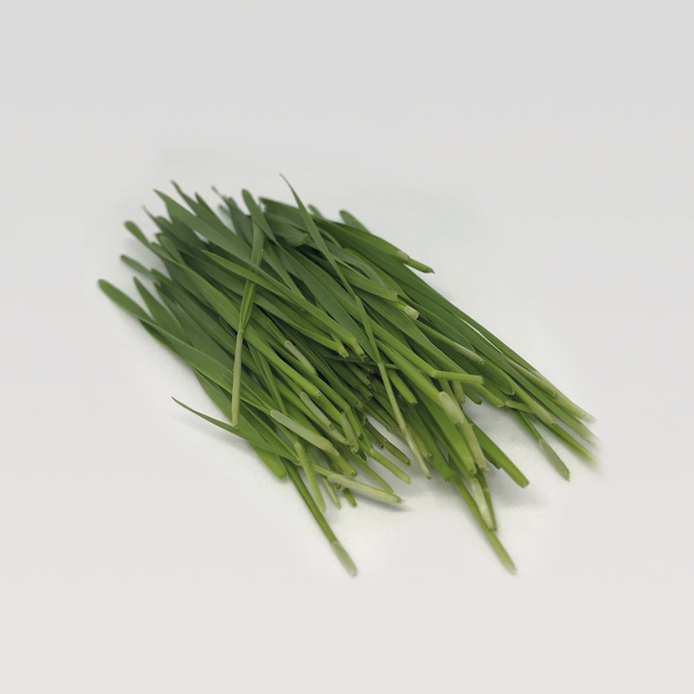 Micro Grass Microgreens – THE ALTITUDE STORE