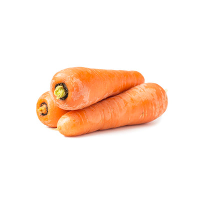 CARROT - ORANGE / YELLOW