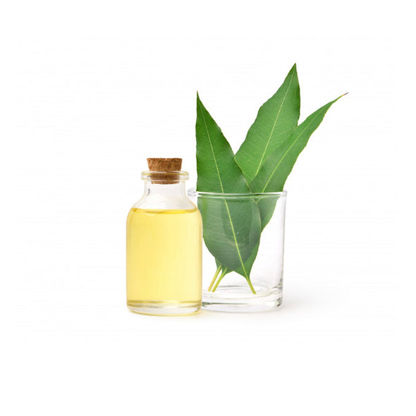 KORAKUNDAH EUCALYPTUS OIL