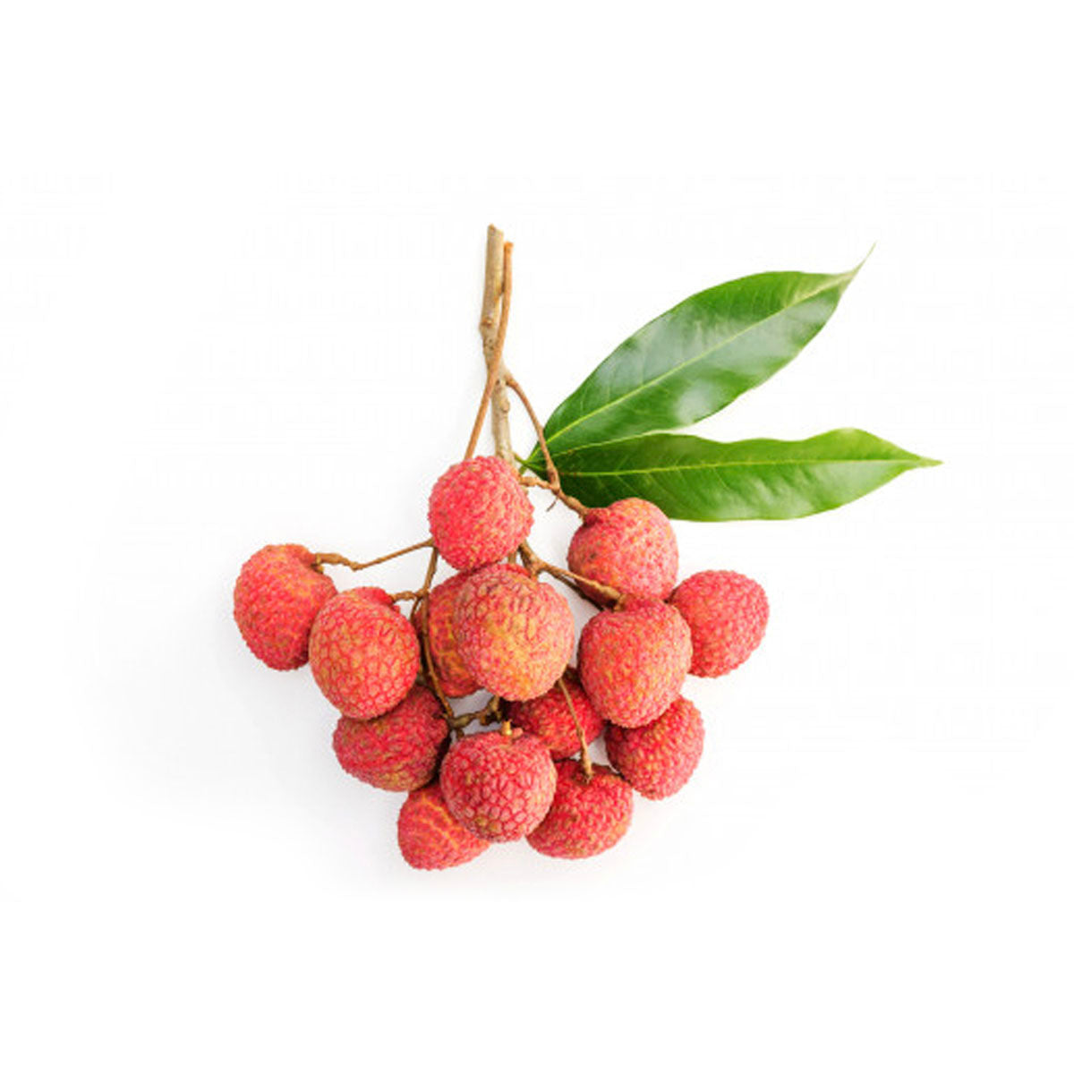 Organic Products | FRESH LITCHI | The Altitude Store