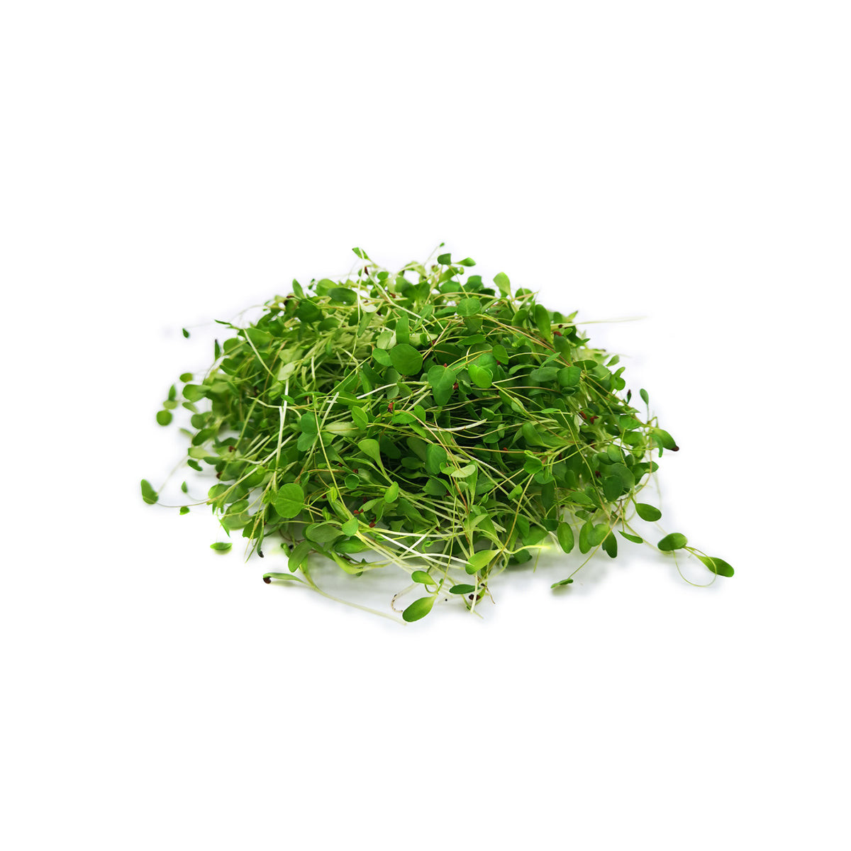 MICROGREENS - ALFALFA